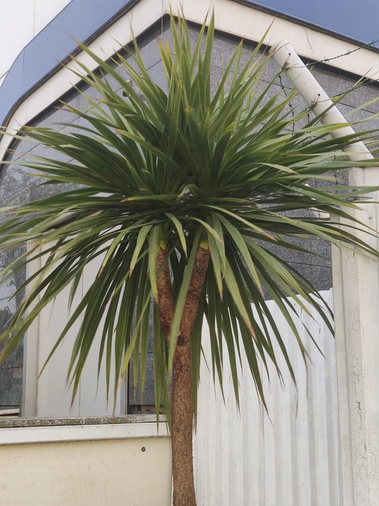 WhatsApp Image 2025-12-27 at 18.07.39.jpeg