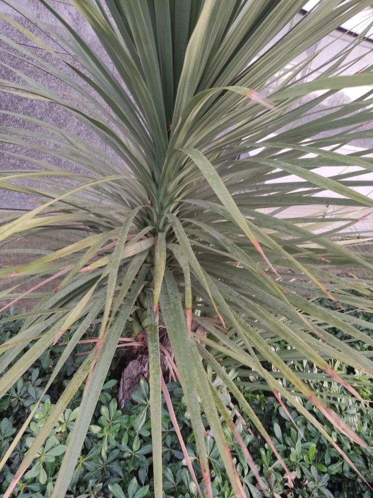 WhatsApp Image 2025-12-27 at 18.07.40.jpeg