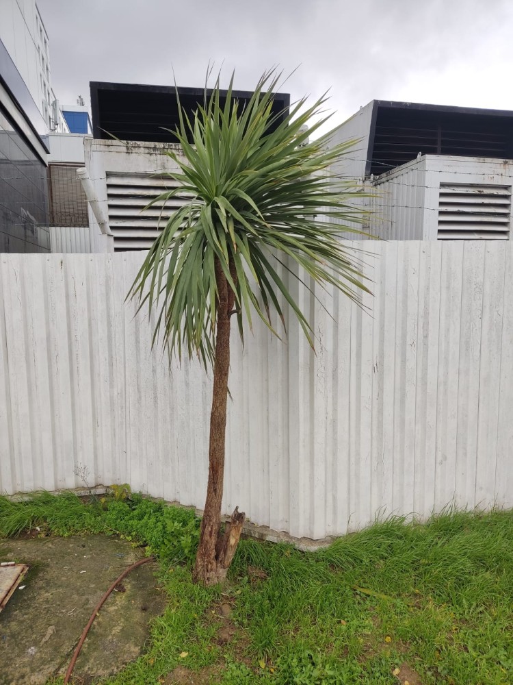 WhatsApp Image 2025-12-27 at 18.07.41.jpeg