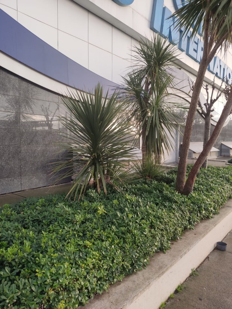 WhatsApp Image 2025-12-27 at 18.07.43(1).jpeg