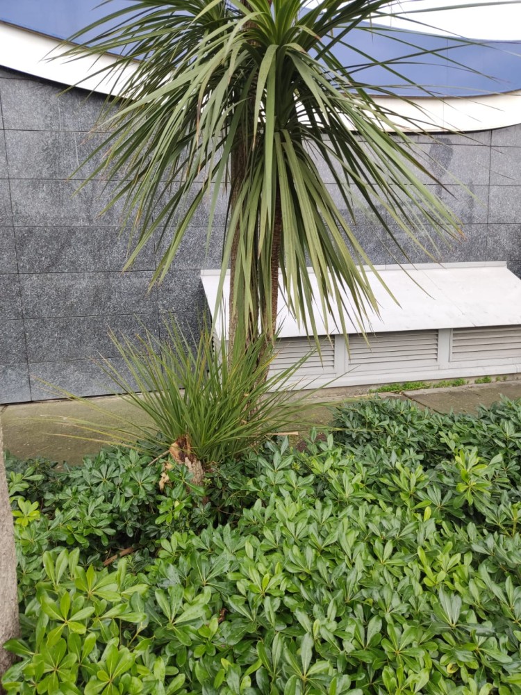 WhatsApp Image 2025-12-27 at 18.07.44.jpeg