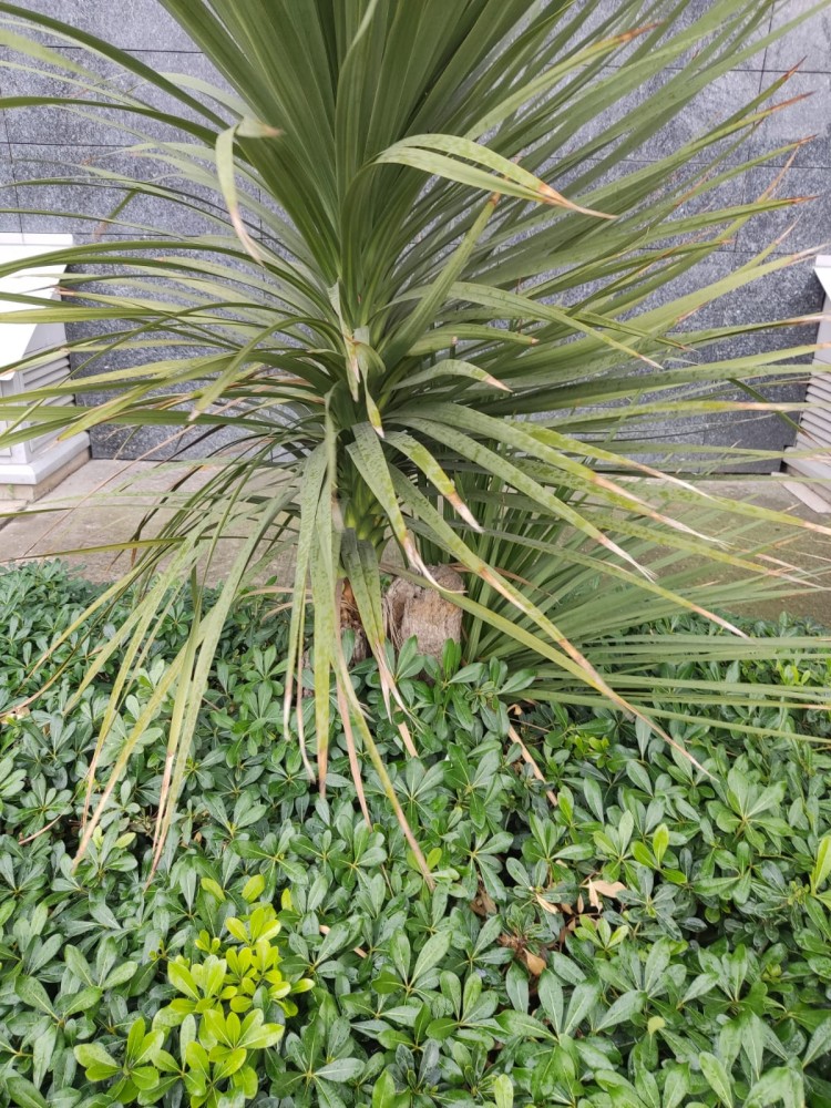 WhatsApp Image 2025-12-27 at 18.07.44(1).jpeg