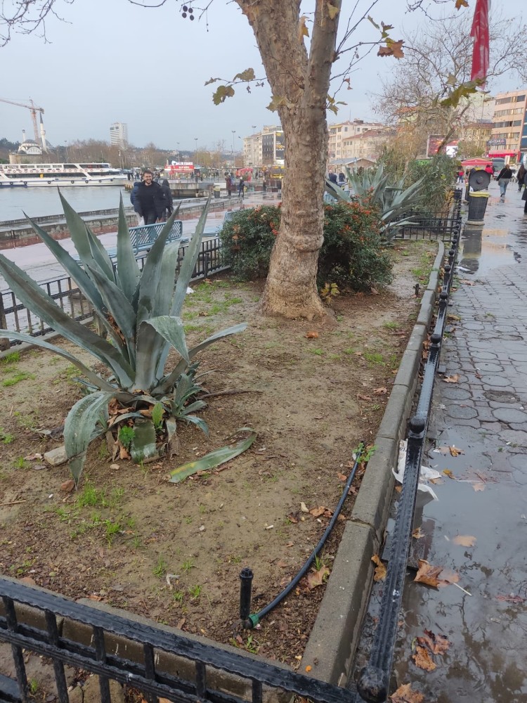 WhatsApp Image 2025-12-27 at 18.07.36.jpeg