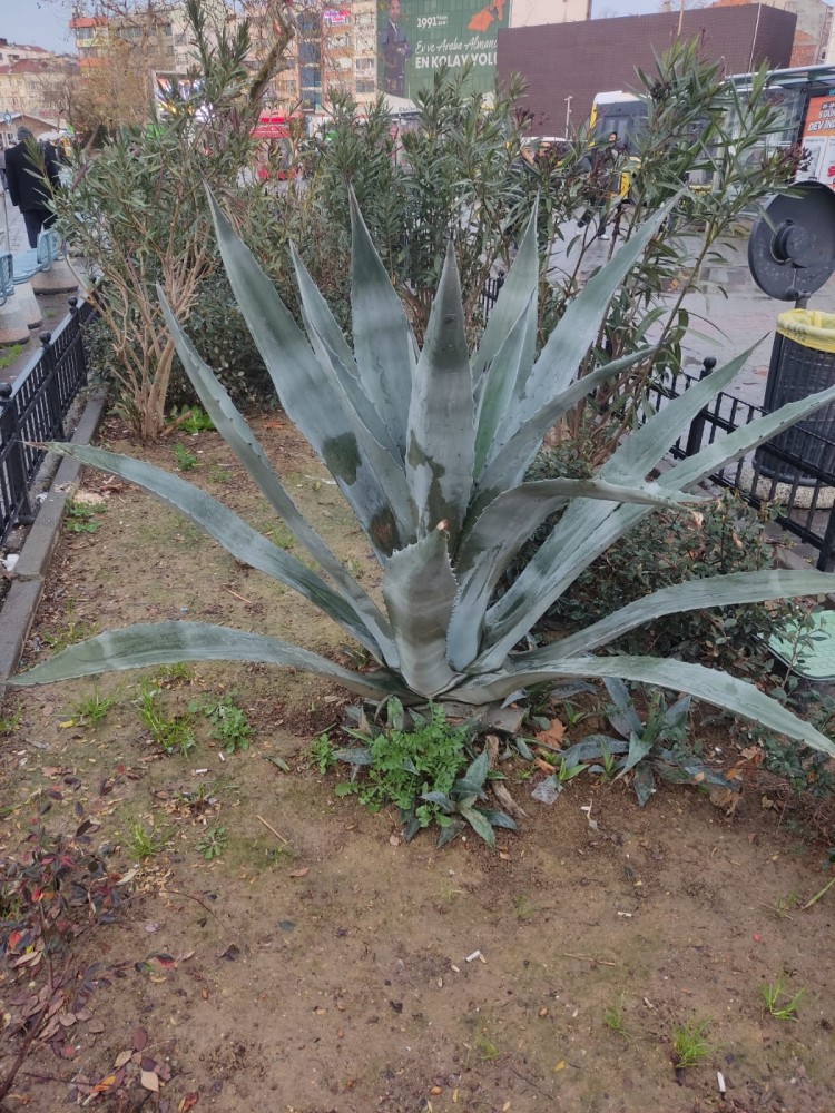 WhatsApp Image 2025-12-27 at 18.07.42.jpeg