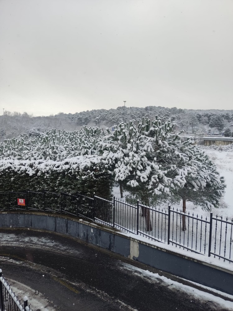 WhatsApp Image 2026-01-01 at 22.45.38(1).jpeg