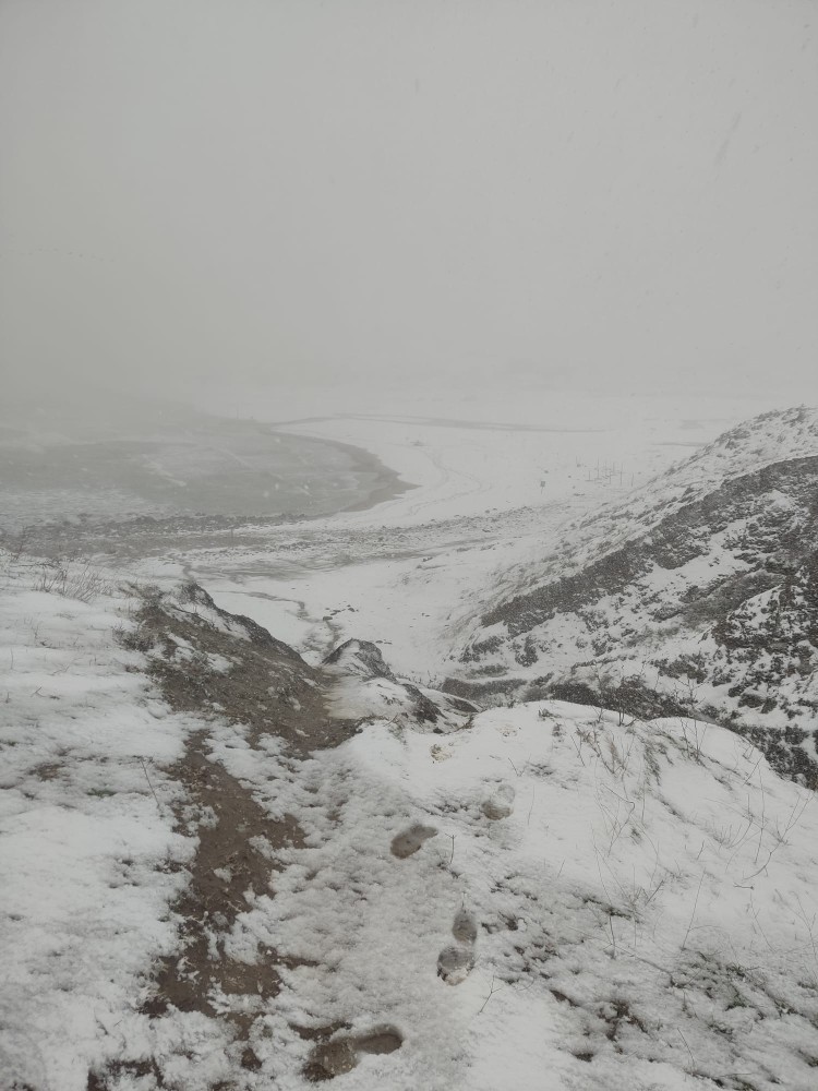 WhatsApp Image 2026-01-01 at 22.45.40.jpeg