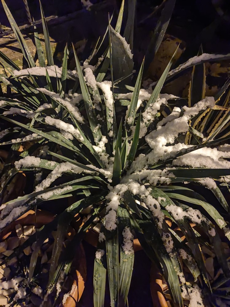 WhatsApp Image 2026-01-01 at 22.45.38.jpeg