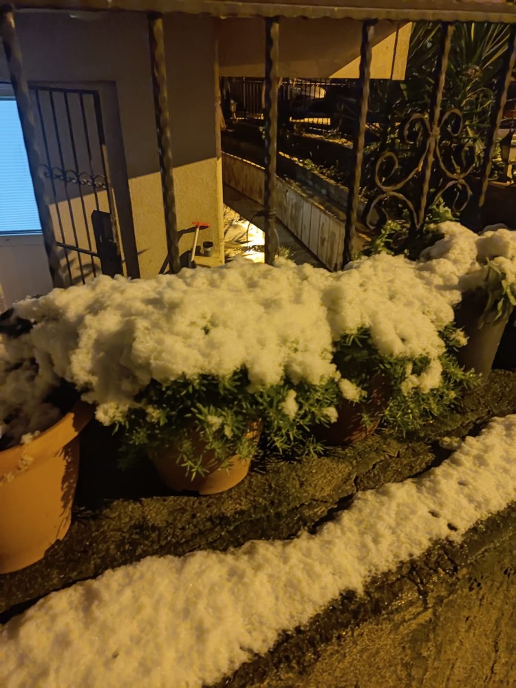 WhatsApp Image 2026-01-01 at 22.45.36(1).jpeg