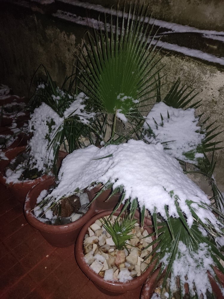 WhatsApp Image 2026-01-01 at 22.45.36.jpeg