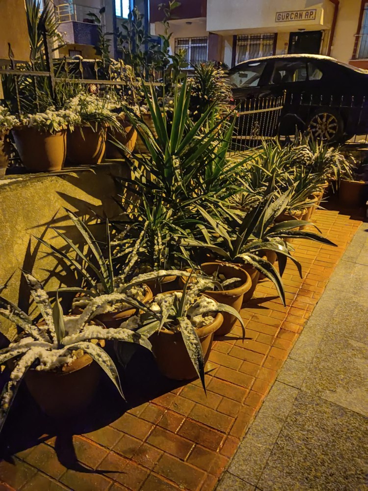 WhatsApp Image 2026-01-01 at 22.45.37.jpeg