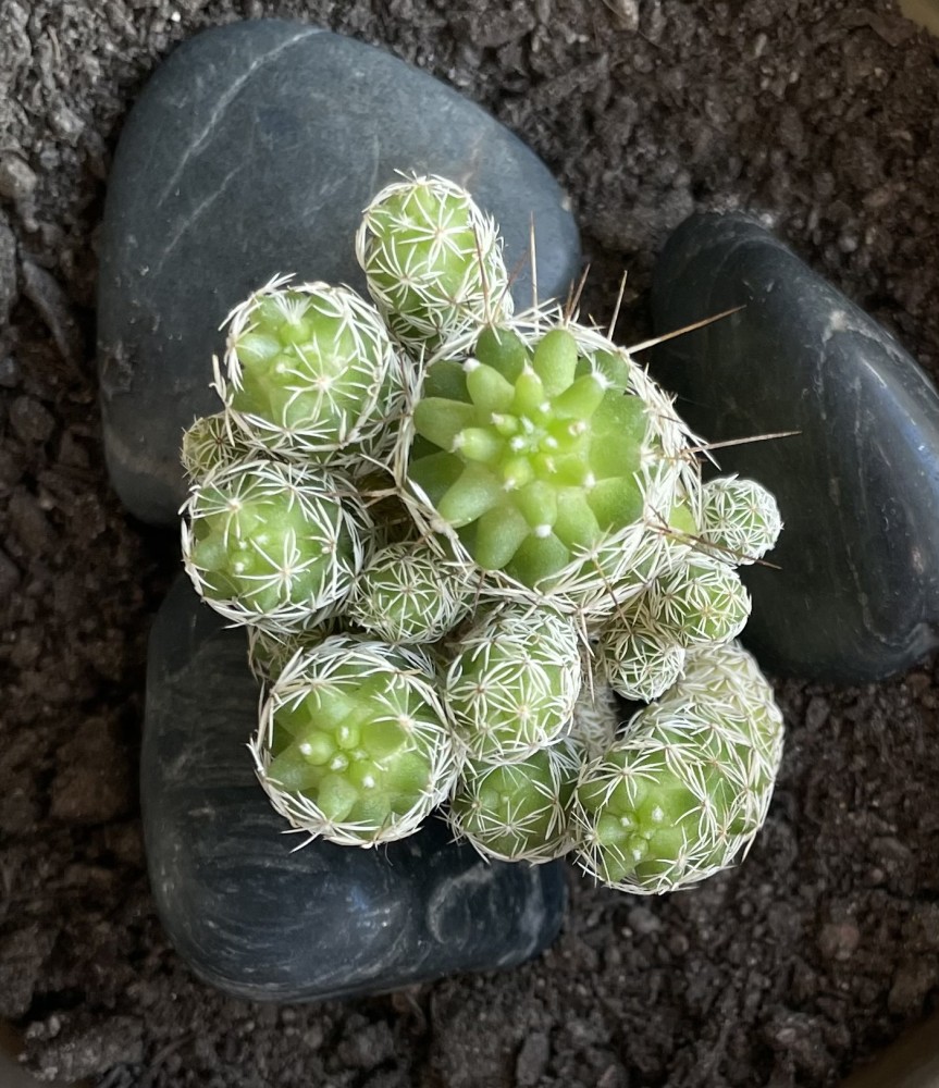 Me encanta la vista desde arriba