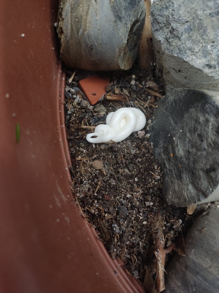 WhatsApp Image 2025-12-20 at 15.33.35.jpeg