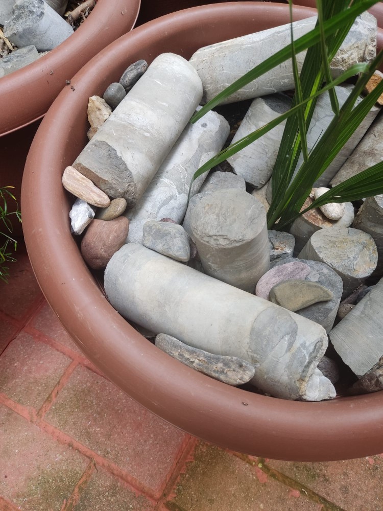 WhatsApp Image 2025-12-20 at 15.33.36.jpeg