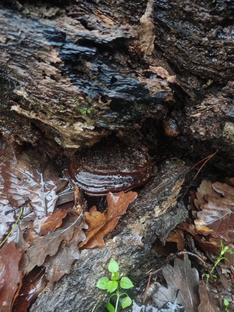 WhatsApp Image 2026-01-13 at 14.56.58(2).jpeg