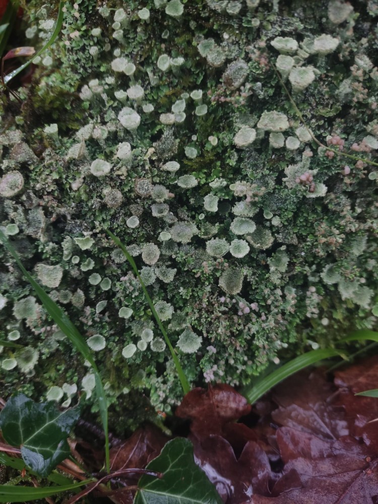 WhatsApp Image 2026-01-13 at 14.56.58(1).jpeg