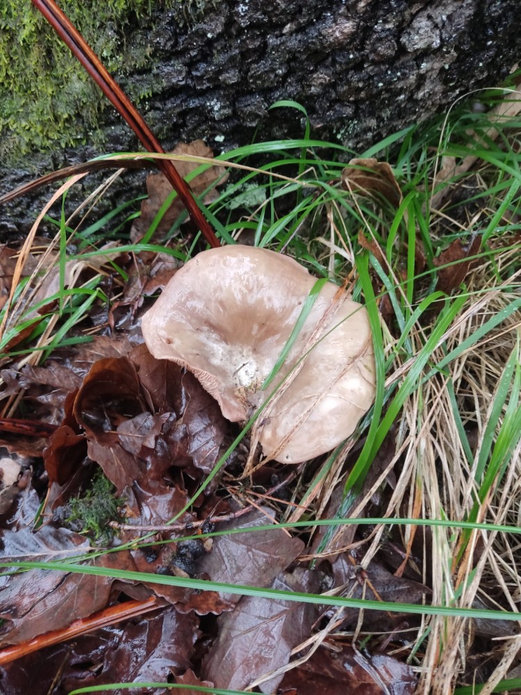 WhatsApp Image 2026-01-13 at 14.56.55(2).jpeg