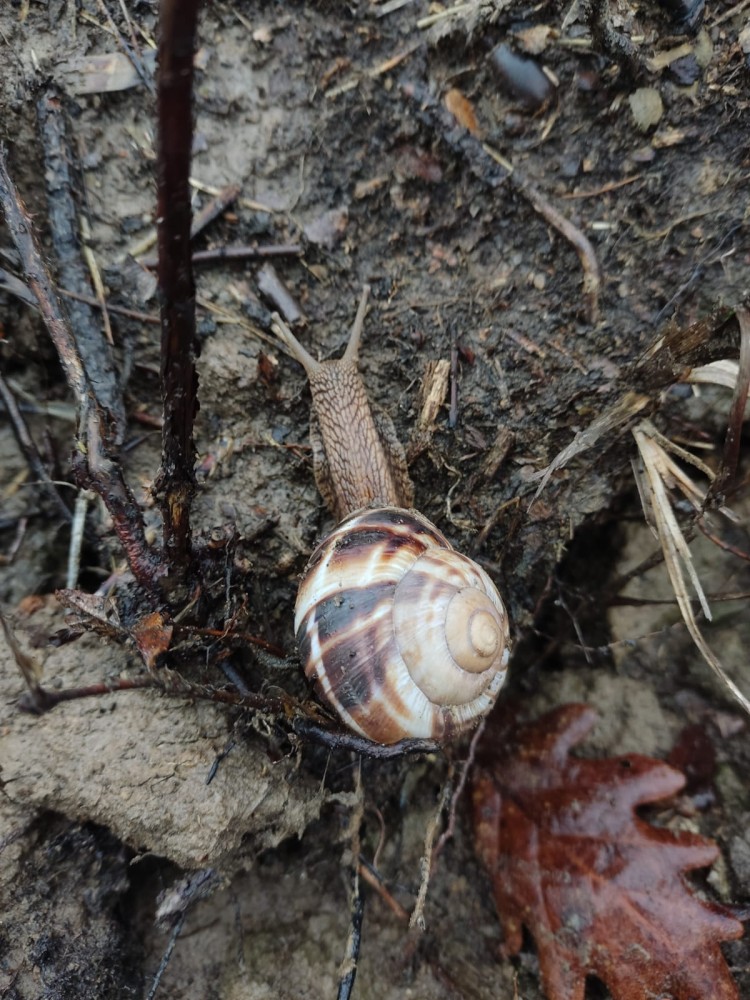 WhatsApp Image 2026-01-13 at 14.56.58.jpeg