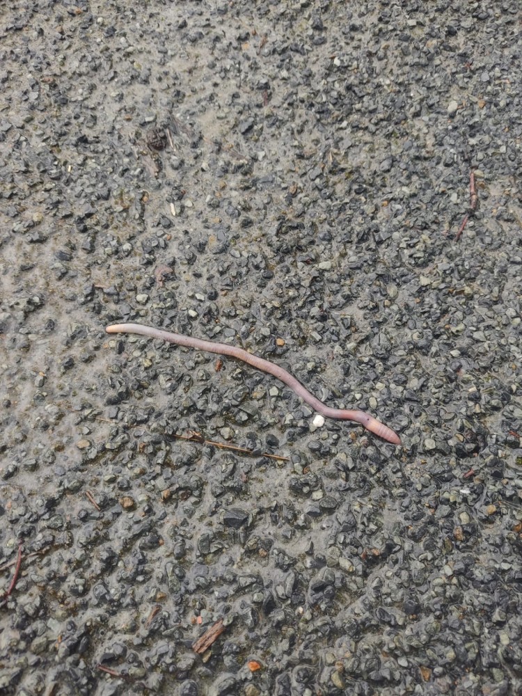 WhatsApp Image 2026-01-13 at 14.56.59.jpeg