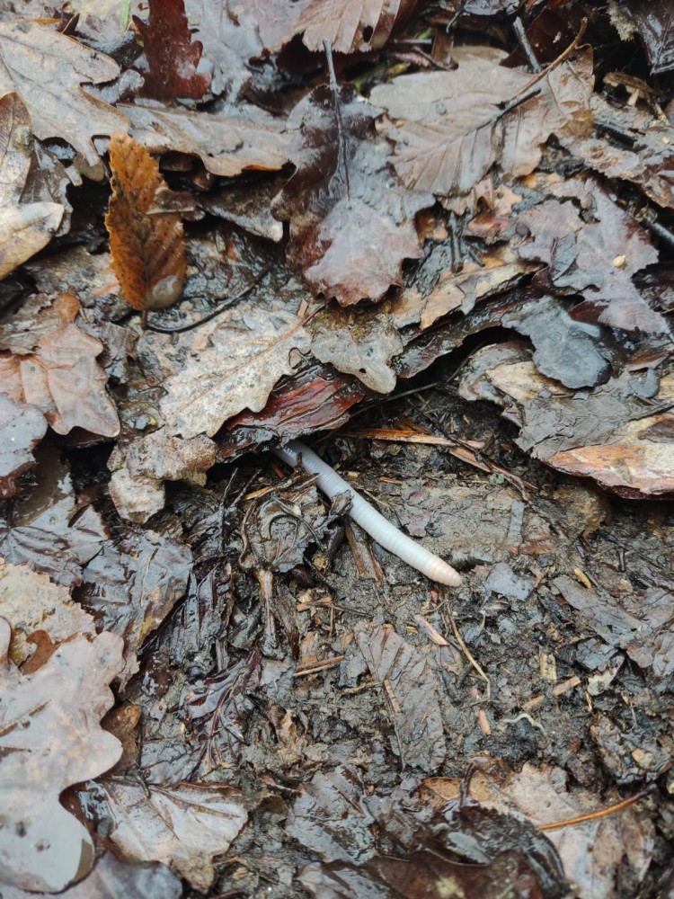 WhatsApp Image 2026-01-13 at 14.56.57.jpeg