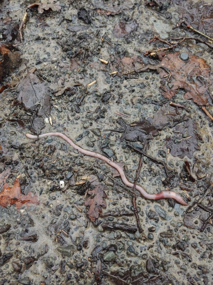 WhatsApp Image 2026-01-13 at 14.56.56(1).jpeg