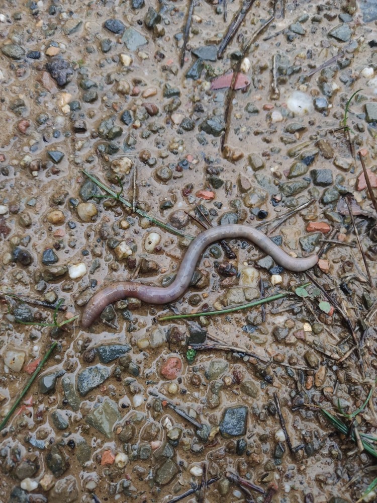 WhatsApp Image 2026-01-13 at 14.56.54(2).jpeg