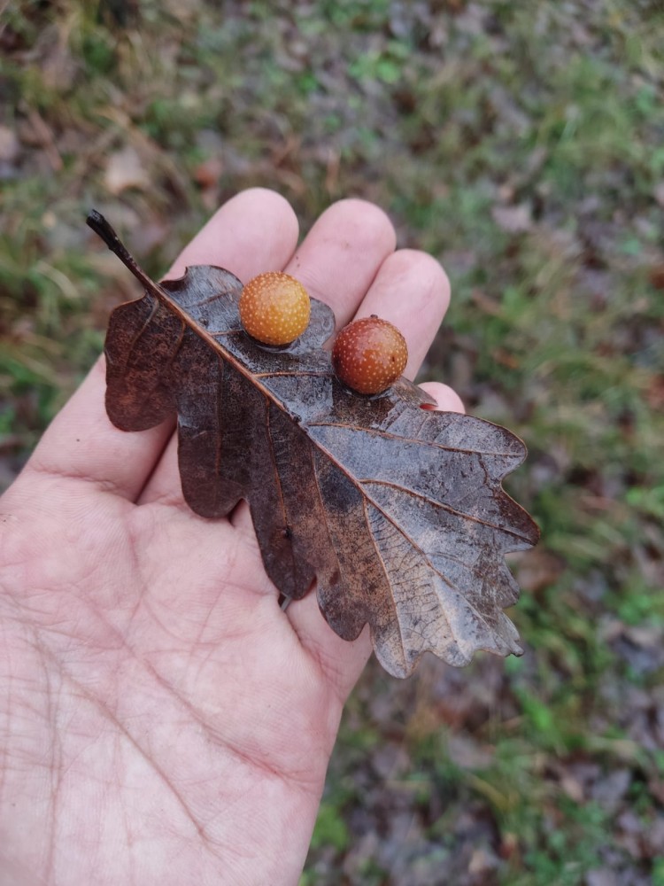 WhatsApp Image 2026-01-13 at 14.56.55(1).jpeg