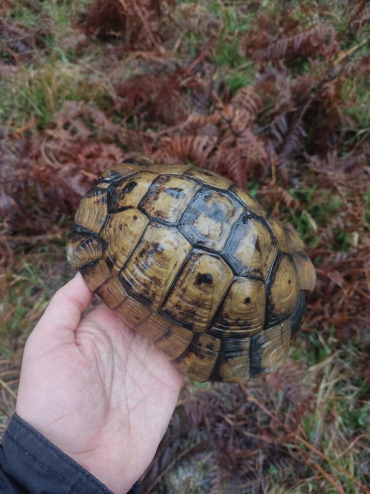 WhatsApp Image 2026-01-13 at 14.56.55.jpeg