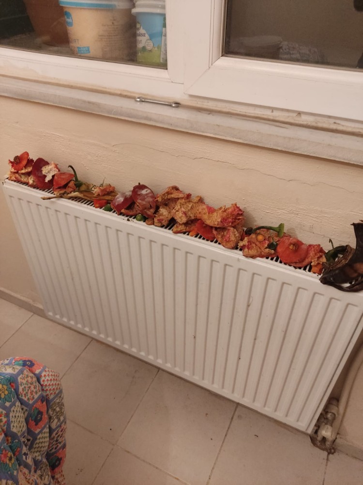 WhatsApp Image 2026-01-13 at 14.57.00.jpeg