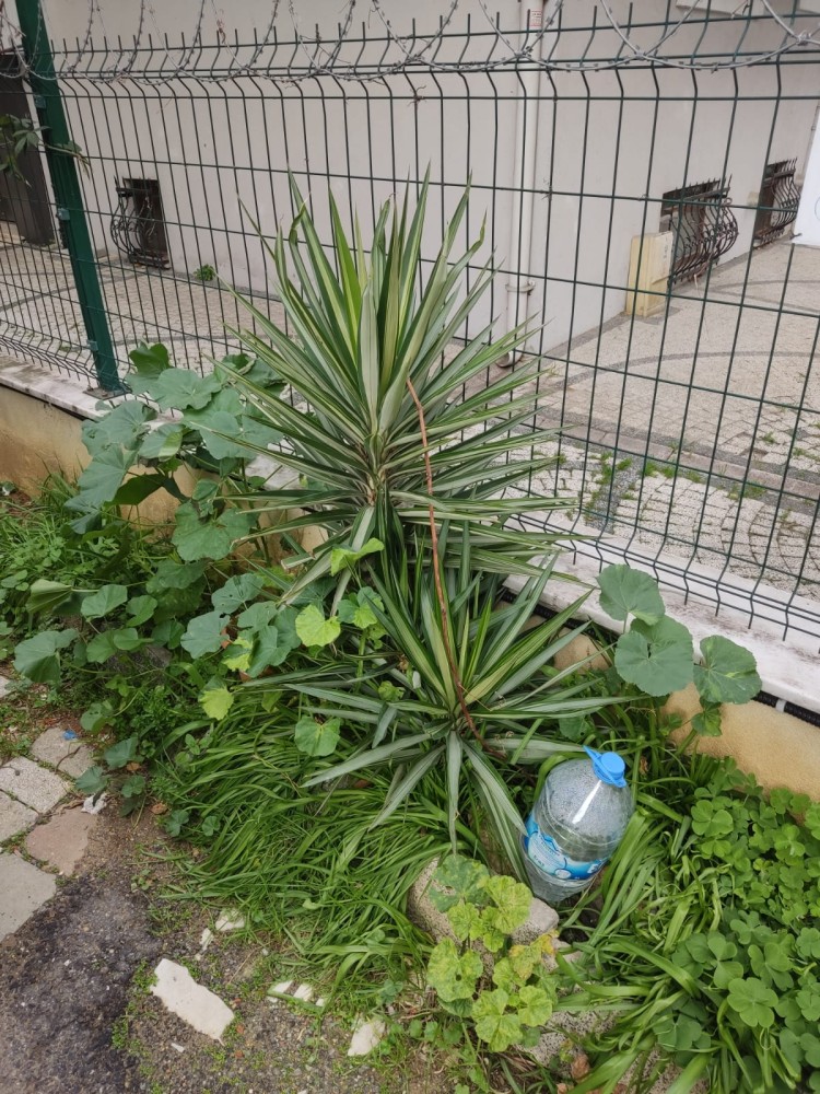 WhatsApp Image 2026-01-13 at 14.56.59(2).jpeg