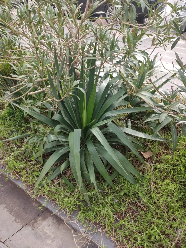 WhatsApp Image 2026-01-13 at 14.56.59(1).jpeg