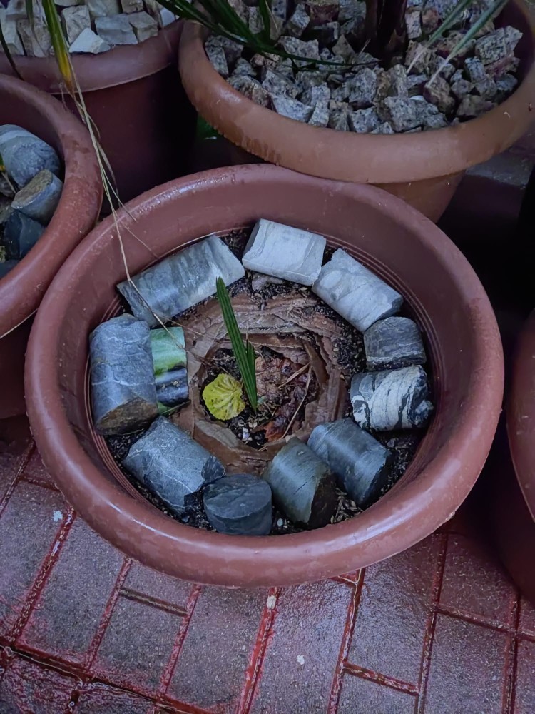 WhatsApp Image 2026-01-17 at 20.05.25(1).jpeg