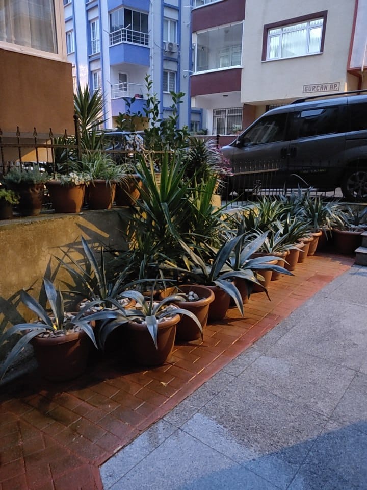 WhatsApp Image 2026-01-17 at 20.05.25.jpeg