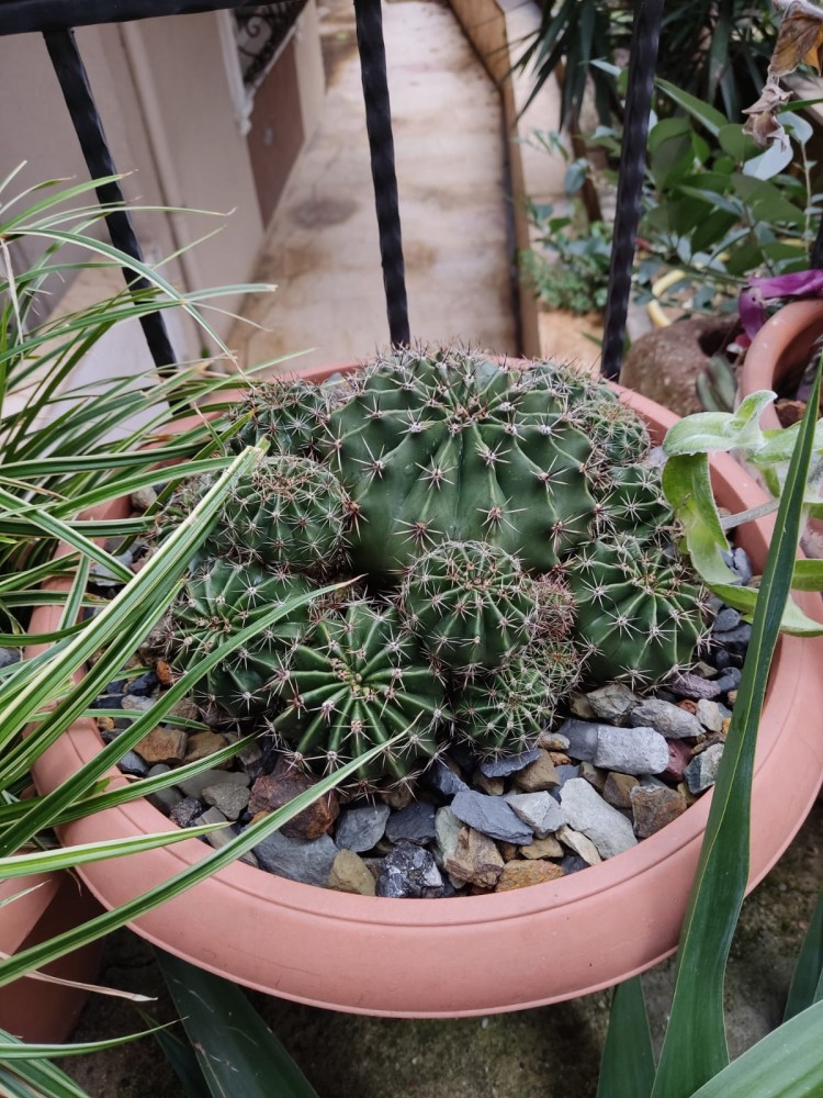 WhatsApp Image 2026-01-21 at 20.10.59.jpeg