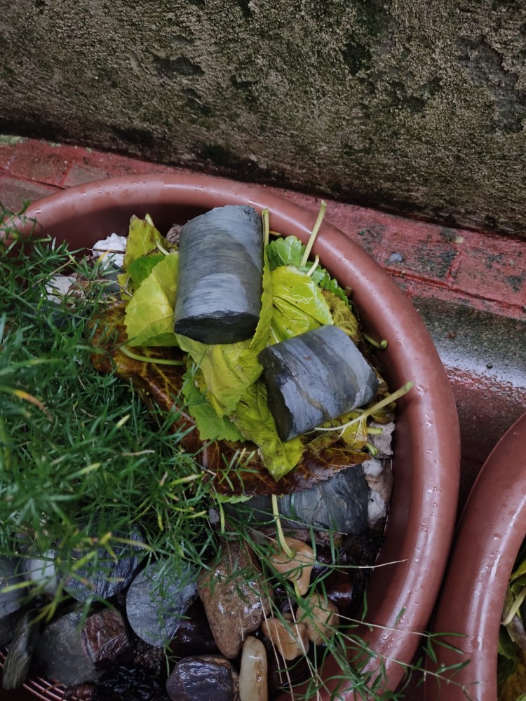 WhatsApp Image 2026-01-21 at 20.11.00.jpeg