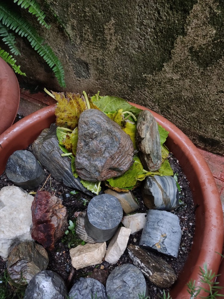 WhatsApp Image 2026-01-21 at 20.11.00(1).jpeg