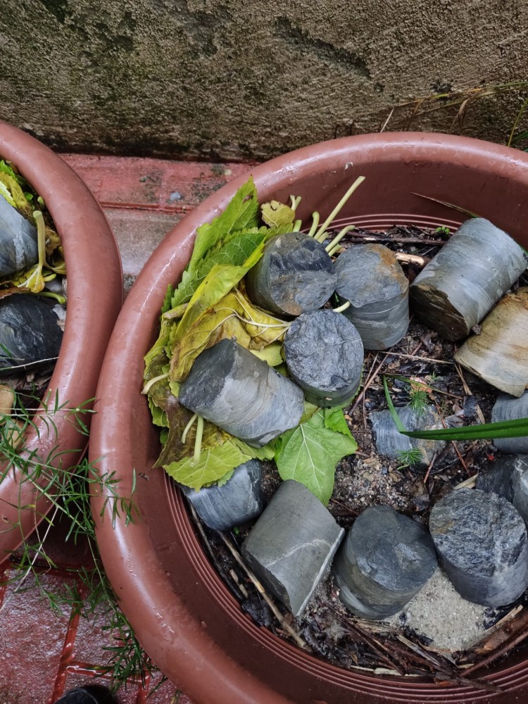 WhatsApp Image 2026-01-21 at 20.10.59(1).jpeg