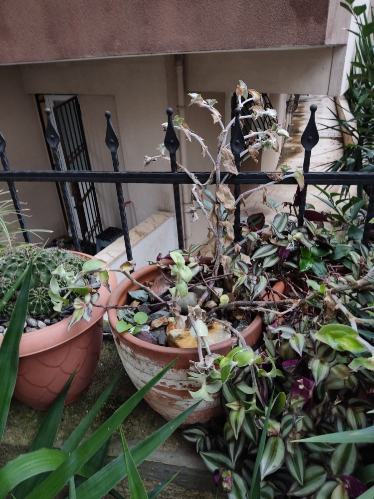 WhatsApp Image 2026-01-21 at 20.11.00(2).jpeg