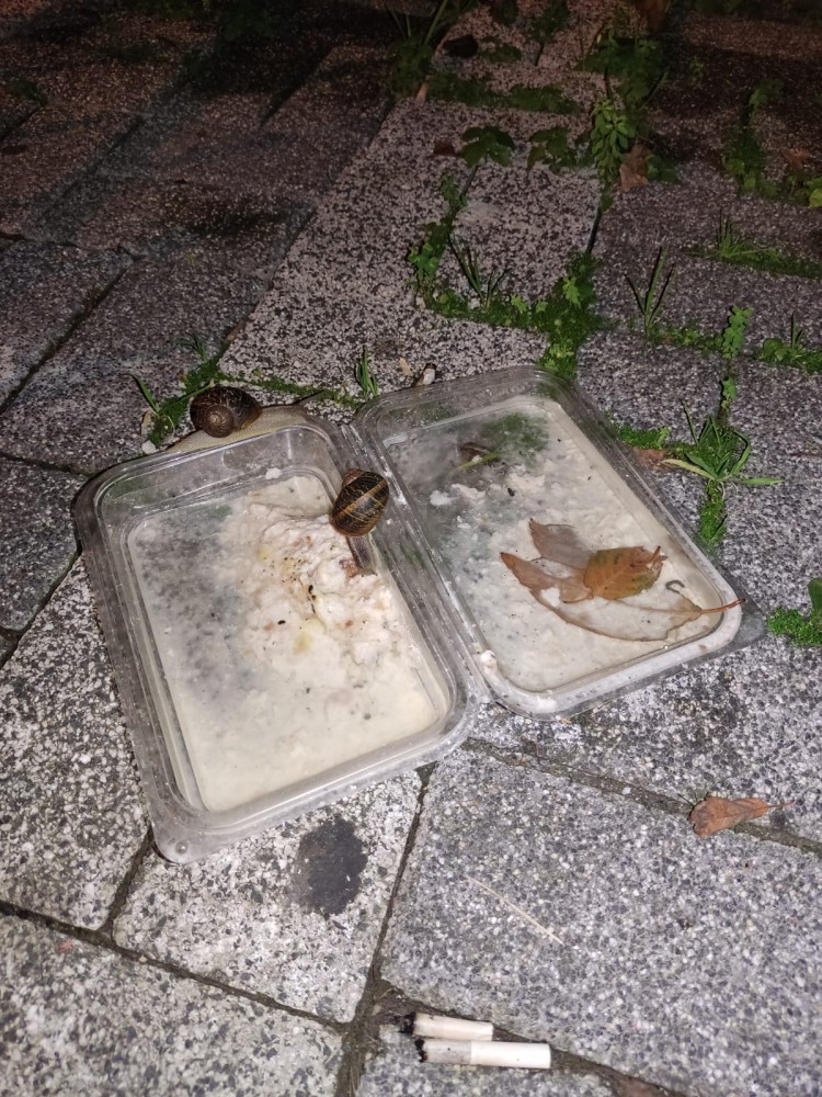 WhatsApp Image 2026-01-25 at 10.27.17.jpeg