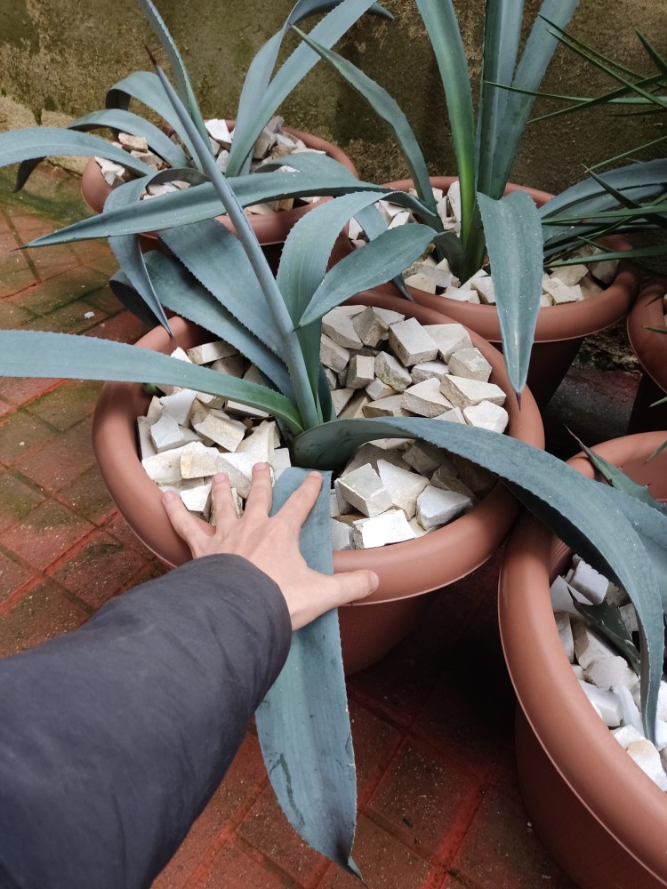 WhatsApp Image 2026-01-25 at 17.48.08(1).jpeg