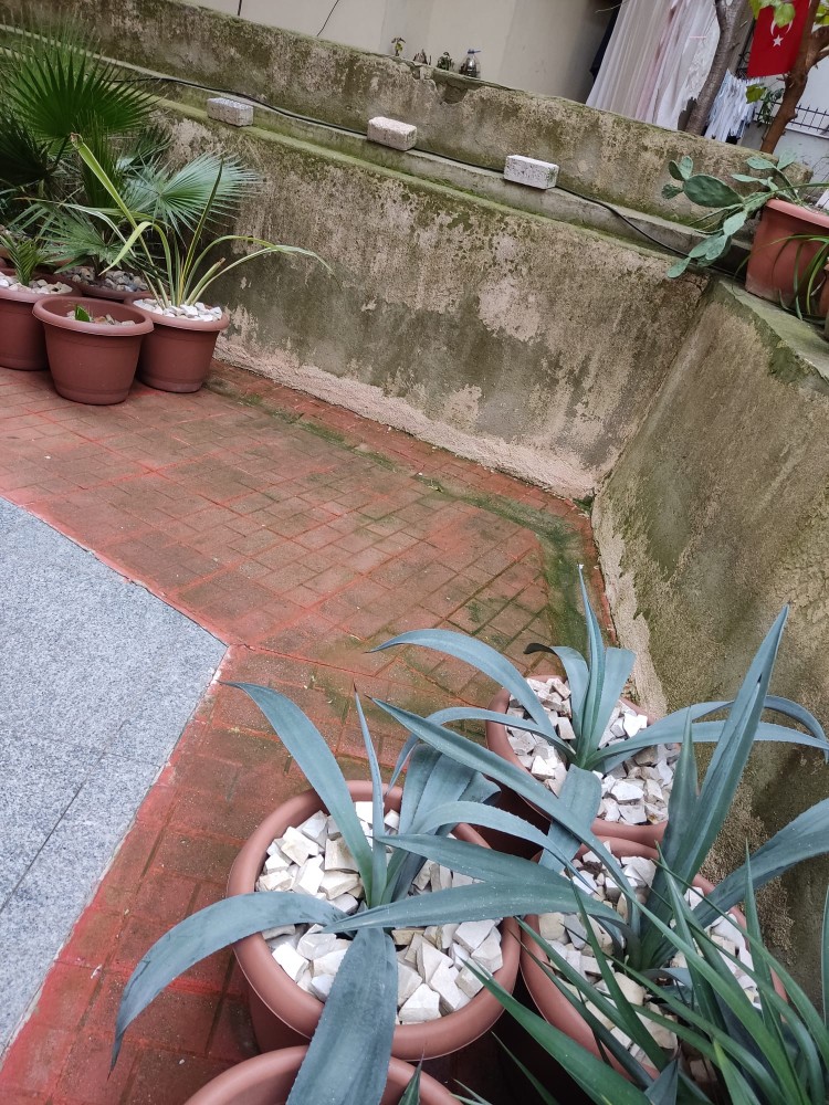 WhatsApp Image 2026-01-25 at 17.48.08.jpeg