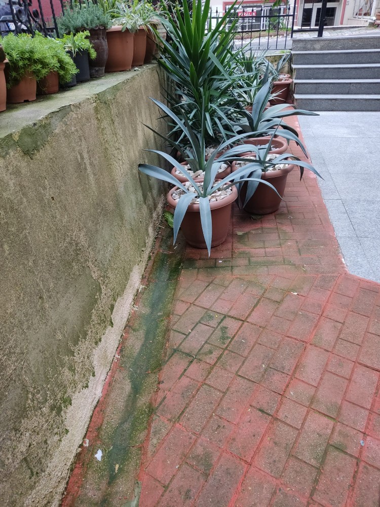 WhatsApp Image 2026-01-25 at 17.48.09(2).jpeg