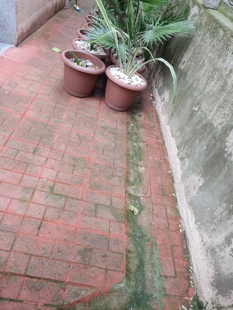 WhatsApp Image 2026-01-25 at 17.48.10.jpeg