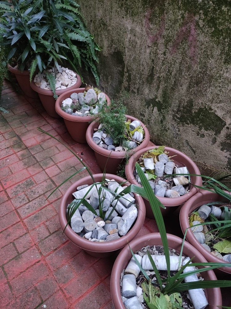 WhatsApp Image 2026-01-25 at 17.48.09.jpeg