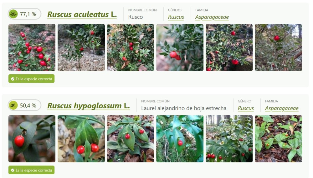 Captura de pantalla 2026-01-25 183109.jpg (275.61 KiB) Visto 2986 veces Captura de pantalla 2026-01-25 183109.jpg