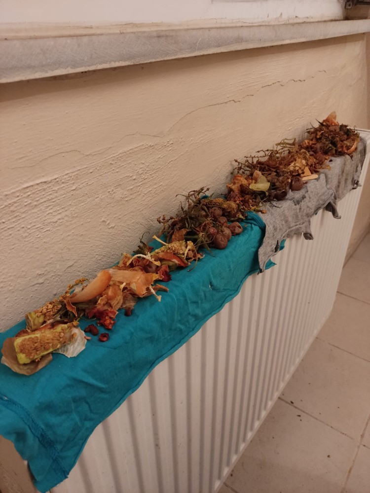 WhatsApp Image 2026-01-25 at 10.27.17(1).jpeg