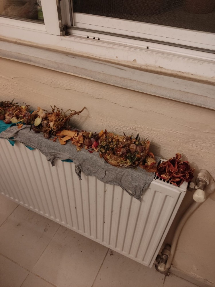 WhatsApp Image 2026-01-25 at 10.27.17(3).jpeg