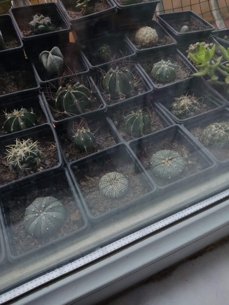 WhatsApp Image 2026-01-28 at 22.21.30.jpeg