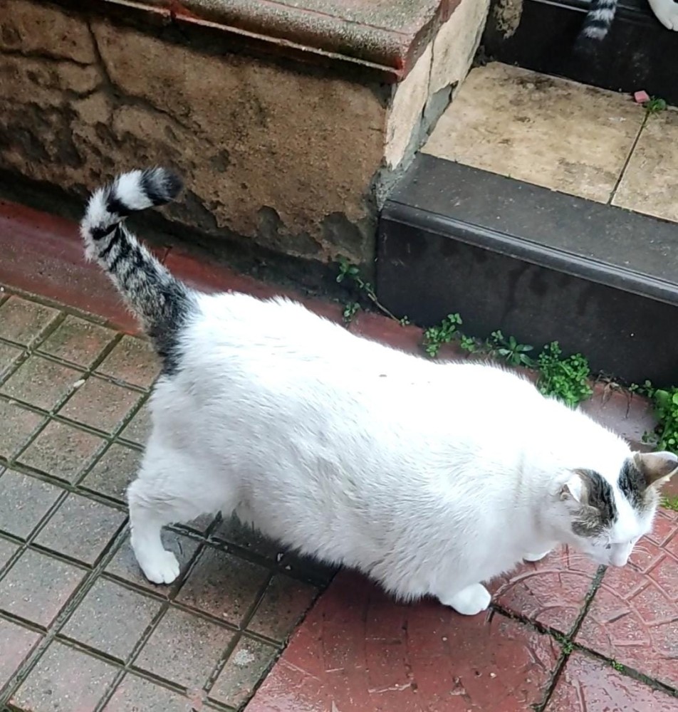 WhatsApp Image 2026-01-31 at 13.59.39.jpeg