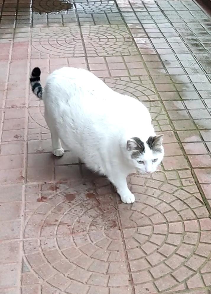 WhatsApp Image 2026-01-31 at 13.59.39(1).jpeg