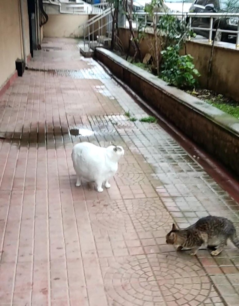 WhatsApp Image 2026-01-31 at 13.59.40.jpeg